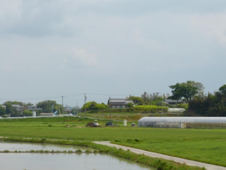 画像30